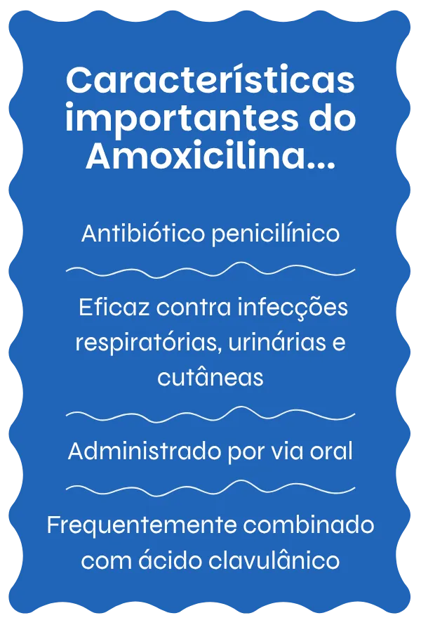 Visão geral do Amoxicilina